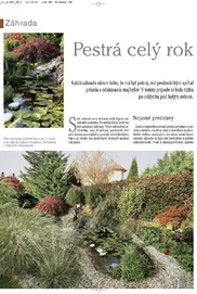 Pestrá záhrada po celý rok Pestrá záhrada po celý rok